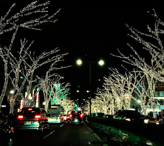 Christmas Celebrations in Bilbao: Benefits of Using a Private Transfer
