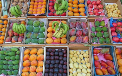 Gastronomic transfer through traditional markets: Authentic flavours of the Basque Country