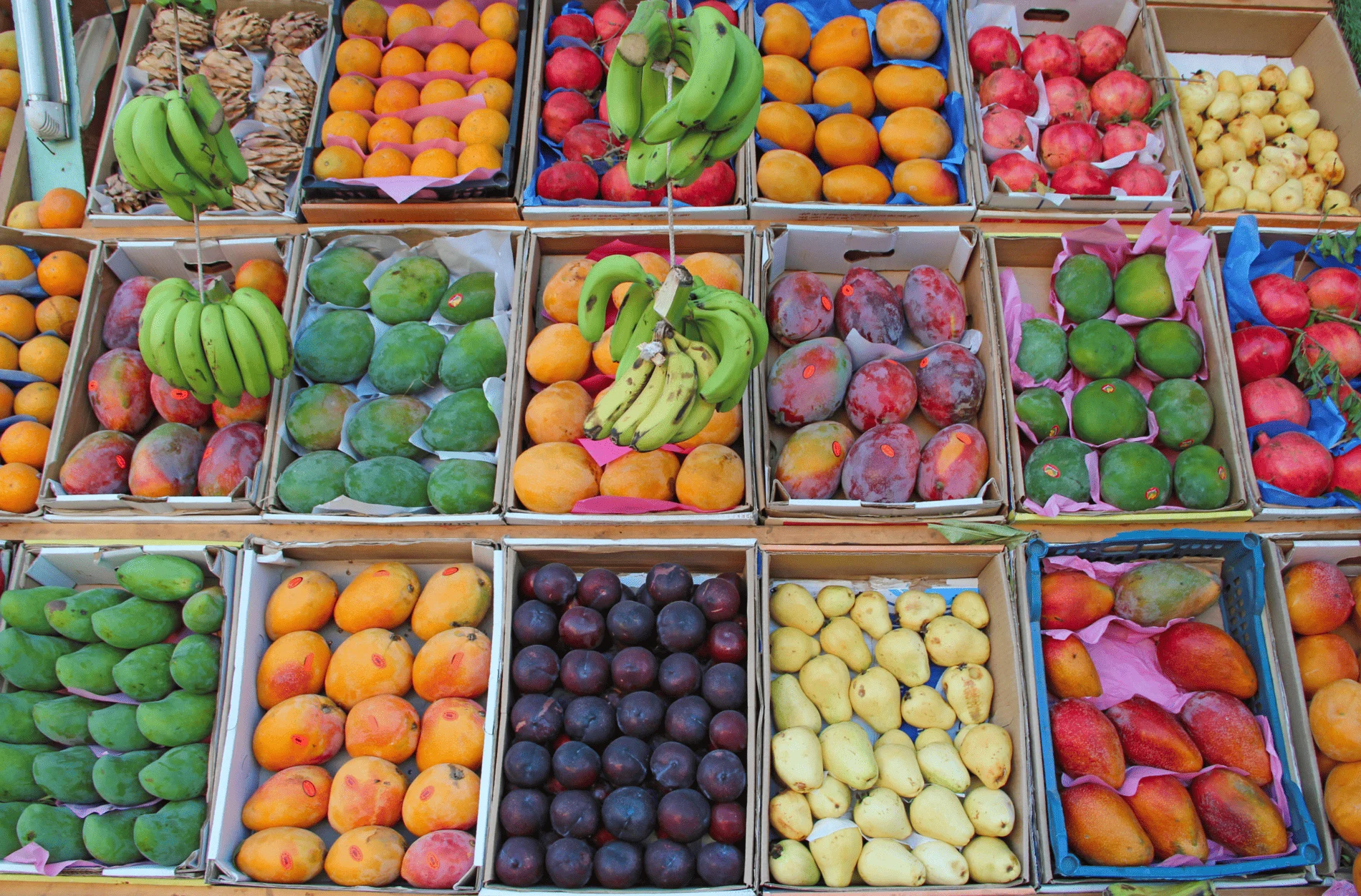 transfer-gastronomico-mercados-tradicionales-euskadi-transfer-bilbao